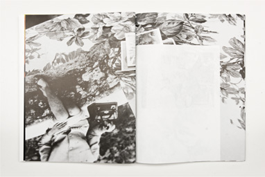 Iorio-Cuomo_TwistedRealism_Publication_ChewingtheScenery