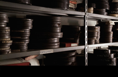 Iorio-Cuomo_TwistedRealism